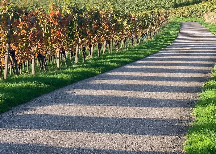 דירה Panorama-suite קאפלרודק